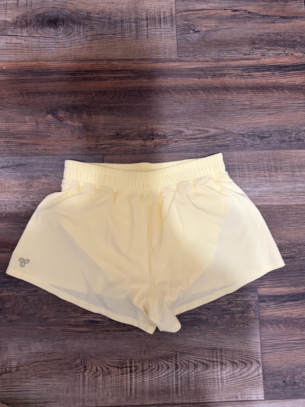 Aritzia shorts